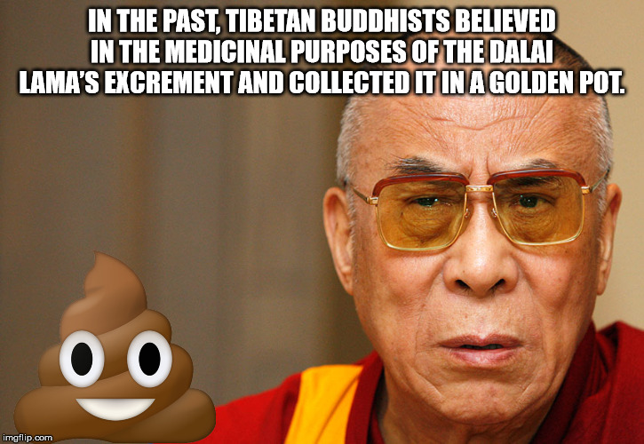 socially awkward penguin meme - In The Past, Tibetan Buddhists Believed In The Medicinal Purposes Of The Dalai Lama'S Excrement And Collected It In A Golden Pot. 0 0 imgflip.com