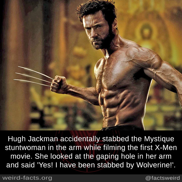 hugh jackman wolverine - Hugh Jackman accidentally stabbed the Mystique stuntwoman in the arm while filming the first XMen movie. She looked at the gaping hole in her arm and said 'Yes! I have been stabbed by Wolverine!'. weirdfacts.org