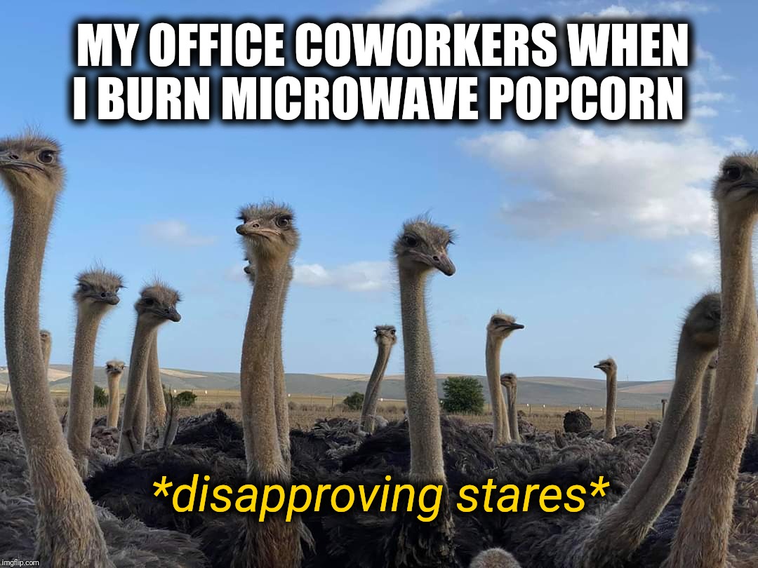 ostrich - My Office Coworkers When I Burn Microwave Popcorn disapproving stares imgflip.com