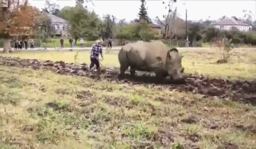 plowing gif