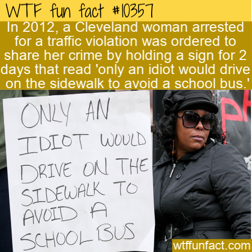 human behavior - Wtf fun fact In 2012, a Cleveland woman arrested for a traffic violation was ordered to her crime by holding a sign for 2 days that read 'only an idiot would drive on the sidewalk to avoid a school bus.' Only An Idiot Would Drive On The S