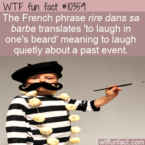 photo caption - Wtf fun fact The French phrase rire dans sa barbe translates to laugh in one's beard' meaning to laugh quietly about a past event. wtffunfact.com