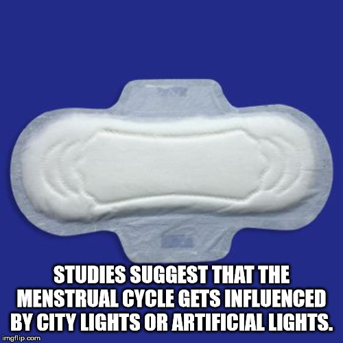 ipad with wings - Studies Suggest That The Menstrual Cycle Gets Influenced By City Lights Or Artificial Lights imgflip.com