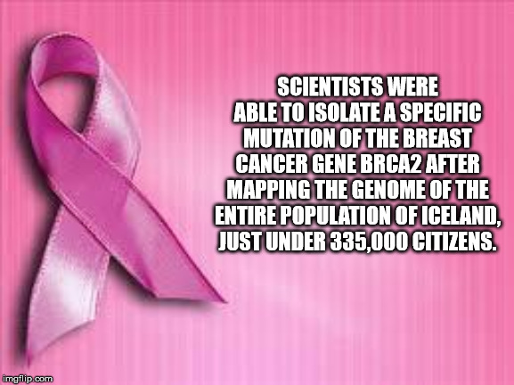 aeropuerto el dorado - Scientists Were Able To Isolate A Specific Mutation Of The Breast Cancer Gene BRCA2 After Mapping The Genome Of The Entire Population Of Iceland, Just Under 335.000 Citizens. imgflip.com