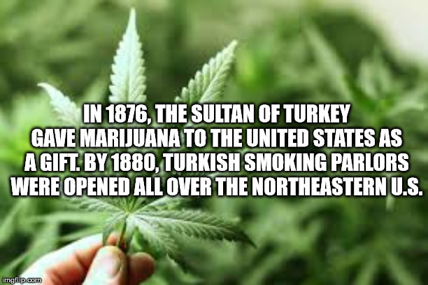 In 1876, The Sultan Of Turkey Gave Marijuana To The United States As A Gift. By 1880, Turkish Smoking Parlors Were Opened All Over The Northeastern U.S. imgflip.com