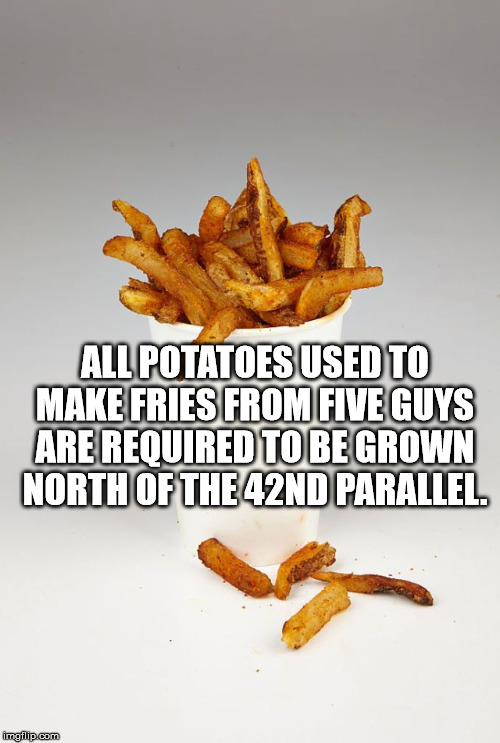 gudiya, kargil war victim - All Potatoes Used To Make Fries From Five Guys Are Required To Be Grown North Of The 42ND Parallel