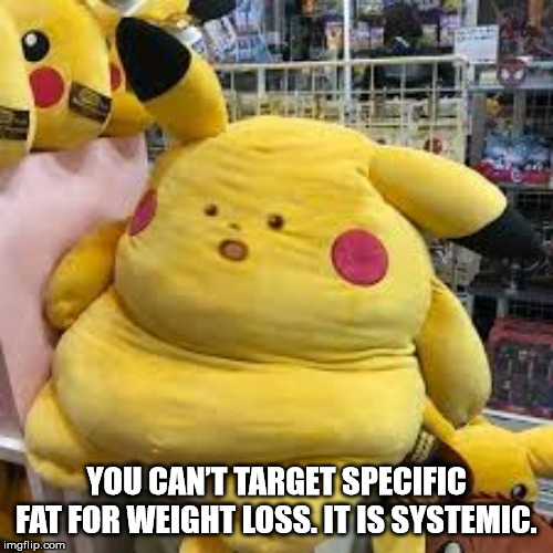 pikachu meme stuffed animal - You Can'T Target Specific Fat For Weight Loss. It Is Systemic. imgflip.com