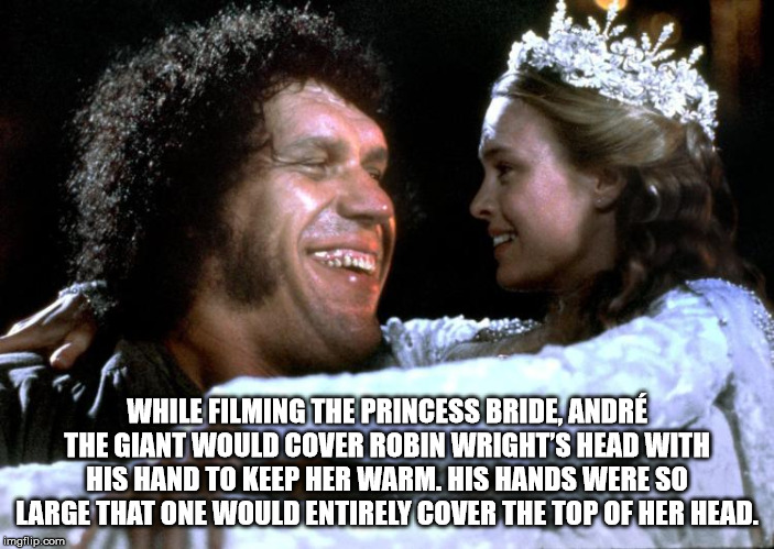 princess bride - While Filming The Princess Bride, Andr The Giant Would Cover Robin Wright'S Head With His Hand To Keep Her Warm. His Hands Were So Large That One Would Entirely Cover The Top Of Her Head. imgflip.com