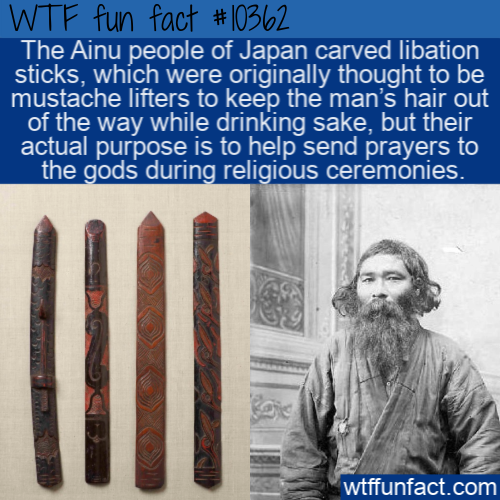 human behavior - Wtf fun fact The Ainu people of Japan carved libation sticks, which were originally thought to be, mustache lifters to keep the man's hair out of the way while drinking sake, but their actual purpose is to help send prayers to the gods du