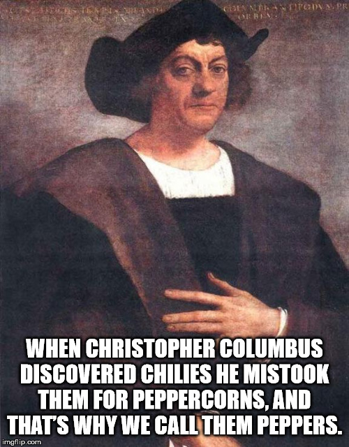 christopher columbus - Todpr When Christopher Columbus Discovered Chilies He Mistook Them For Peppercorns, And That'S Why We Call Them Peppers. imgflip.com