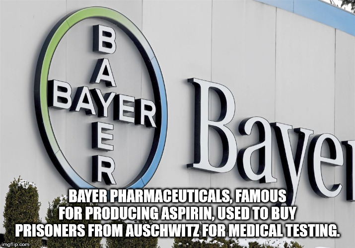 norman reedus the walking dead - Bayer . Bayan Bayer Pharmaceuticals, Famous For Producing Aspirin, Used To Buy Prisoners From Auschwitz For Medical Testing. imgflip.com ikan