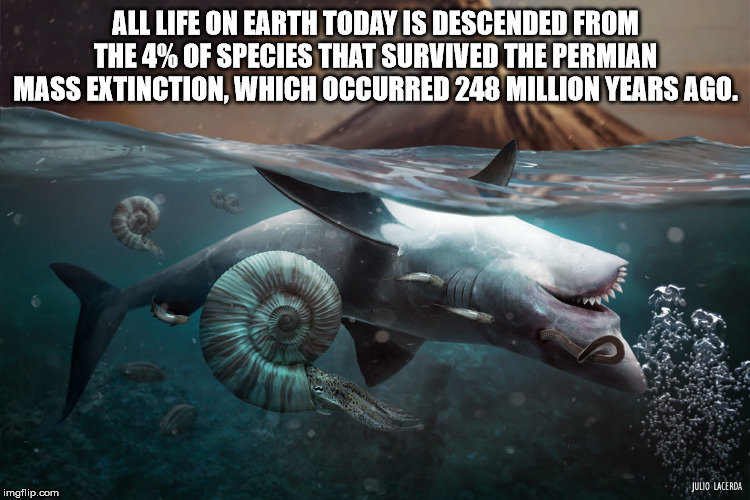 mass extinction - All Life On Earth Today Is Descended From The 4% Of Species That Survived The Permian Mass Extinction, Which Occurred 248 Million Years Ago, Julio Lacerda imgflip.com