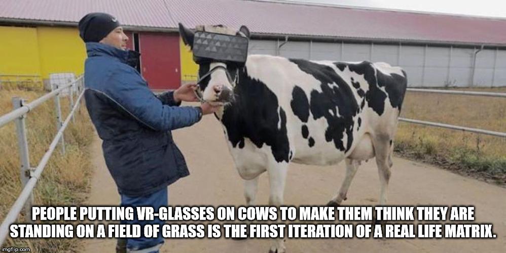 Virtual reality headset - People Putting VrGlasses On Cows To Make Them Think They Are Standing On A Field Of Grass Is The First Iteration Of A Real Life Matrix. imgflip.com