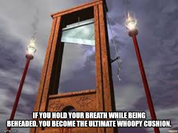 modern guillotine - If You Hold Your Breath While Being Beheaded, You Become The Ultimate Whoopy Cushion. imgflip.com