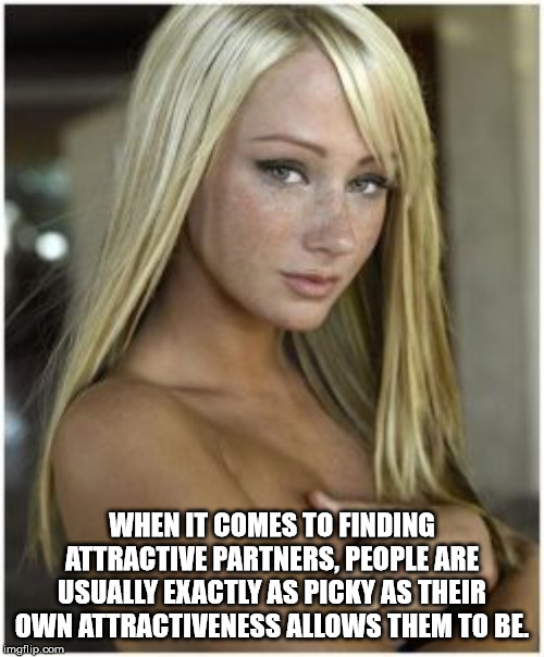 blond - When It Comes To Finding Attractive Partners. People Are Usually Exactly As Picky As Their Own Attractiveness Allows Them To Be imgflip.com