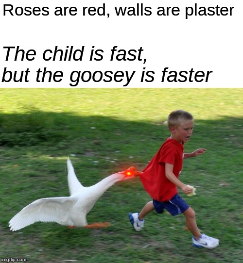 funny animal attacks - Roses are red, walls are plaster The child is fast, but the goosey is faster imgflip.com