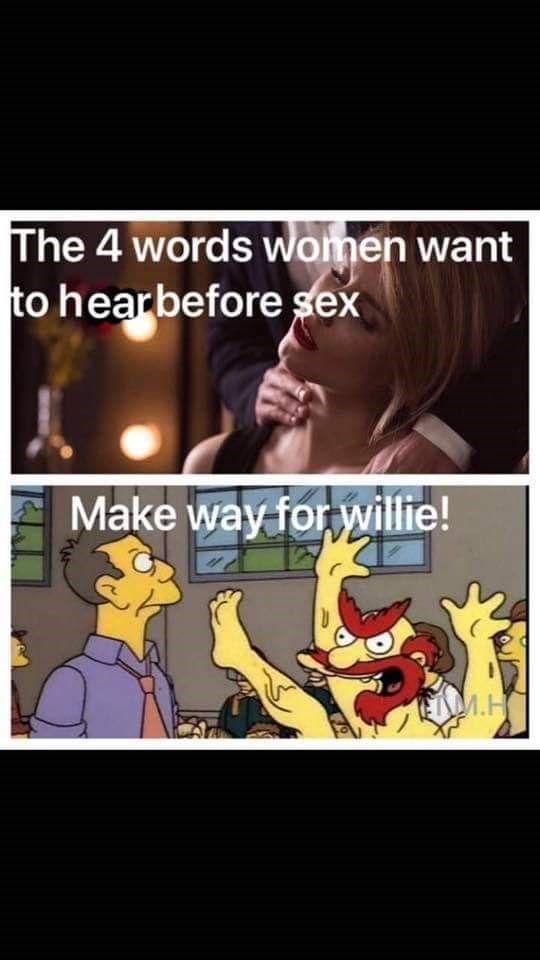 make way for willie meme - The 4 words women want to hear before sex Make way for Willie!