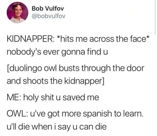 duolingo owl meme - Bob Vulfov Kidnapper hits me across the face nobody's ever gonna find u duolingo owl busts through the door and shoots the kidnapper Me holy shit u saved me Owl u've got more spanish to learn. u'll die when i say u can die