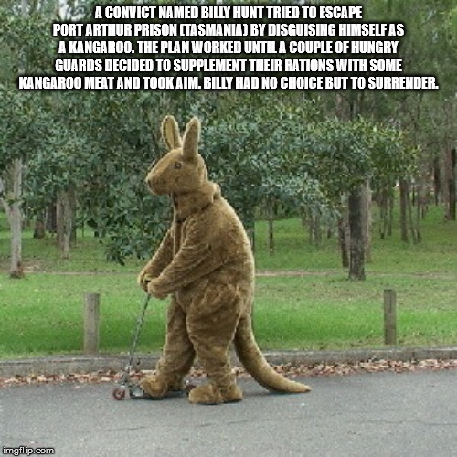 day 3 meme - 22 A Convict Named Billy Hunt Tried To Escape Port Arthur Prison Tasmania By Disguising Himself As A Kangaroo. The Plan Worked Until A Couple Of Hungry Guards Decided To Supplement Their Rations With Some Kangaroo Meat And Took Aim. Billy Had