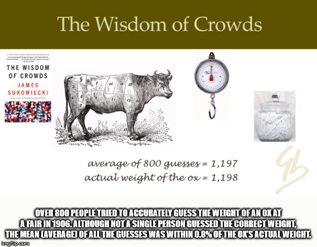 cattle - The Wisdom of Crowds The Wisdom Of Crowds James Surowiecki average of 800 guesses 1,197 actual weight of the ox 1,198 Over 800 People Tried To Accurately Guess The Weight Of An Ox At A Fair In 1906. Although Not A Single Person Guessed The Correc