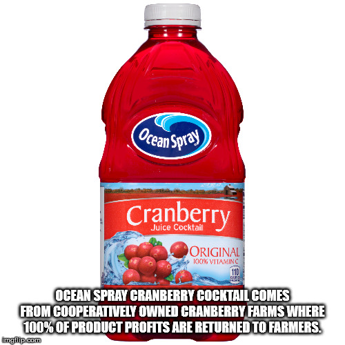 water - Ocean Spray Cranberry Juice Cocktail Original | 100% Vitain C Ocean Spray Cranberry Cocktail Comes From Cooperatively Owned Cranberry Farms Where 100% Of Product Profits Are Returned To Farmers. Imail.com