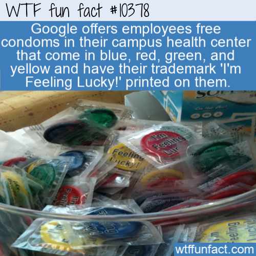 plastic - Wtf fun fact Google offers employees free condoms in their campus health center that come in blue, red, green, and yellow and have their trademark 'I'm Feeling Lucky!' printed on them. eelid Icky Feeli wtffunfact.com