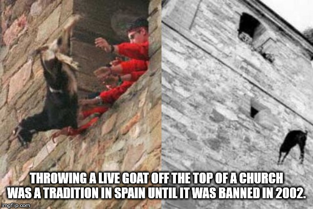 goat throwing festival spain - Throwing Alive Goat Off The Top Of A Church Was A Traditionin Spain Untilit Was Banned In 2002 imgflip.com
