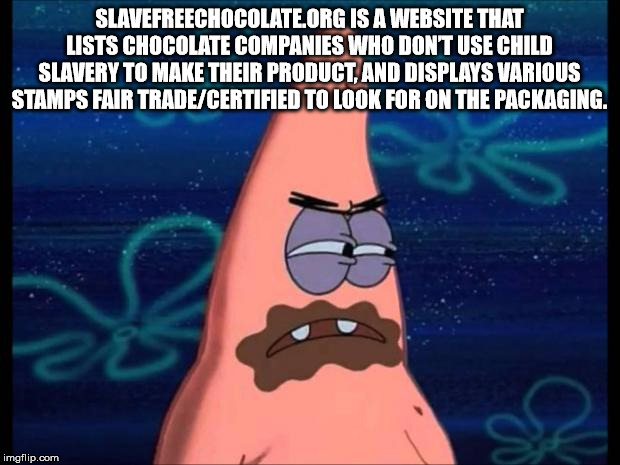 now im gonna starve - Slavefreechocolate.Org Is A Website That Lists Chocolate Companies Who Dont Use Child Slavery To Make Their Product, And Displays Various Stamps Fair TradeCertified To Look For On The Packaging. imgflip.com
