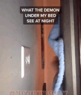 demon under my bed sees - What The Demon Under My Bed See At Night Official Livestiti