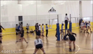 Volleyball - 4 GIFs.com