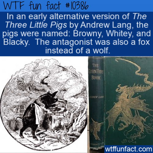 water - Wtf fun fact In an early alternative version of The Three Little Pigs by Andrew Lang, the pigs were named Browny, Whitey, and Blacky. The antagonist was also a fox instead of a wolf. The Ben Paiky Book A Lac wtffunfact.com