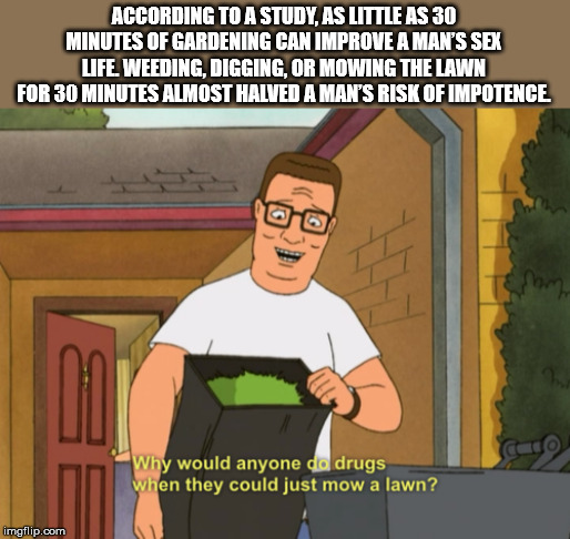 hank hill mow a lawn - According To A Study, As Little As 30 Minutes Of Gardening Can Improve A Man'S Sex Life Weeding, Digging, Or Mowing The Lawn For 30 Minutes Almost Halved A Man'S Risk Of Impotence Caso Why would anyone da drugs when they could just 