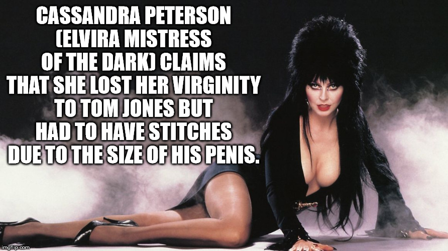 goth icons - Cassandra Peterson Elvira Mistress Of The Dark Claims That She Lost Her Virginity To Tom Jones But Had To Have Stitches Due To The Size Of His Penis. imgflip.com