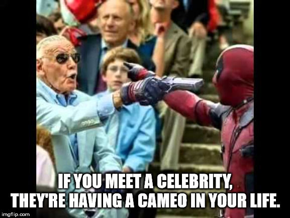 stan lee in marvel movie - If You Meet A Celebrity, They'Re Having A Cameo In Your Life. imgflip.com