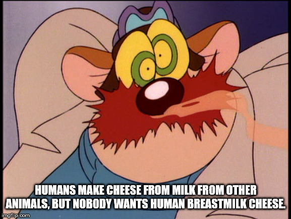 cartoon - Humans Make Cheese From Milk From Other Animals, But Nobody Wants Human Breastmilk Cheese. imgflip.com