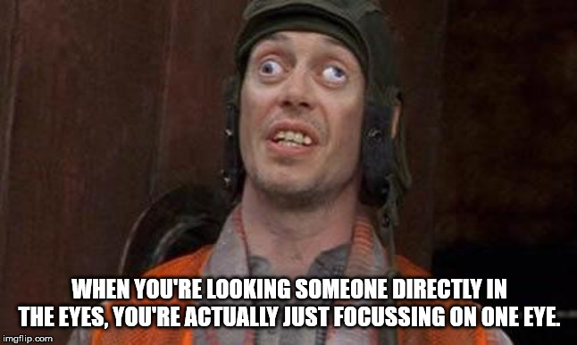 looks alright to me meme - When You'Re Looking Someone Directly In The Eyes, You'Re Actually Just Focussing On One Eye. imgflip.com