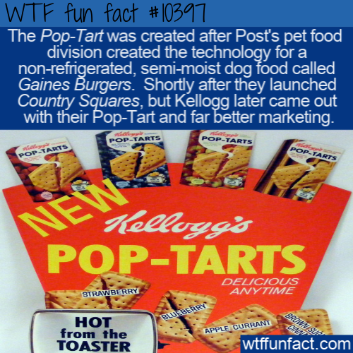 snack - Wtf fun fact The PopTart was created after Post's pet food, division created the technology for a nonrefrigerated, semimoist dog food called Gaines Burgers. Shortly after they launched Country Squares, but Kellogg later came out with their PopTart