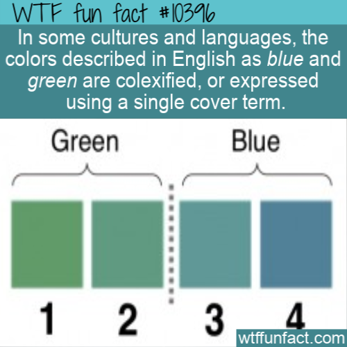 number - Wtf fun fact In some cultures and languages, the colors described in English as blue and green are colexified, or expressed using a single cover term. Green Blue 1 2 3 4 wtffunfact.com