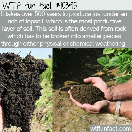 granular soil structure - Wtf fun fact It takes over 500 years to produce just under an inch of topsoil, which is the most productive layer of soil. This soil is often derived from rock which has to be broken into smaller pieces through either physical or