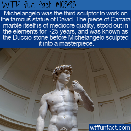david - Wtf fun fact Michelangelo was the third sculptor to work on the famous statue of David. The piece of Carrara marble itself is of mediocre quality, stood out in the elements for ~25 years, and was known as the Duccio stone before Michelangelo sculp