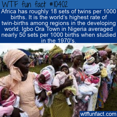 nigeria's twins capital holds annual festival to celebrate twinning - Wtf fun fact Africa has roughly 18 sets of twins per 1000 births. It is the world's highest rate of twinbirths among regions in the developing world. Igbo Ora Town in Nigeria averaged n