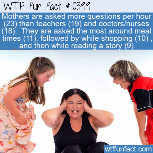 Wtf fun fact Mothers are asked more questions per hour 23 than teachers 19 and doctorsnurses 18. They are asked the most around meal times 11, ed by while shopping 10, and then while reading a story 9. wtffunfact.com
