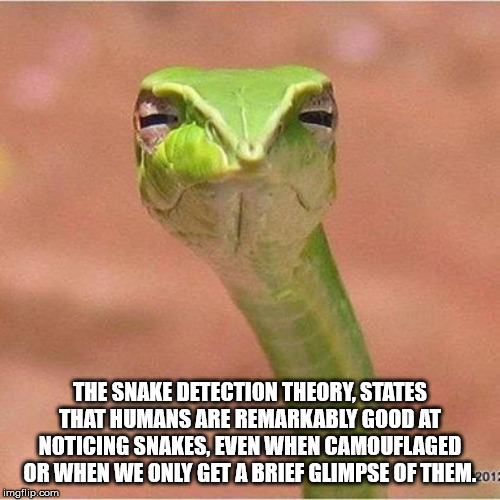serpent - The Snake Detection Theory, States That Humans Are Remarkably Good At Noticing Snakes, Even When Camouflaged Or When We Only Get A Brief Glimpse Of Them.2013 imgflip.com