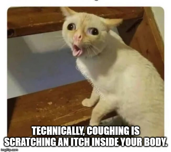 hilarious funny - descreatures Technically, Coughing Is Scratching An Itch Inside Your Body imgilip.com