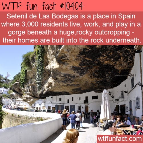cave of the sun houses - Wtf fun fact Setenil de Las Bodegas is a place in Spain where 3,000 residents live, work, and play in a gorge beneath a huge rocky outcropping their homes are built into the rock underneath. wtffunfact.com