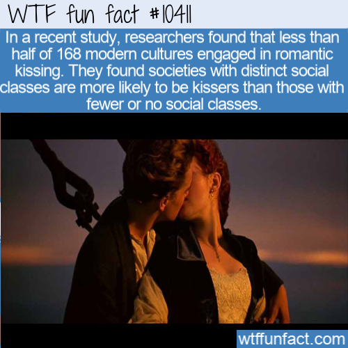 Wtf fun fact || In a recent study, researchers found that less than half of 168 modern cultures engaged in romantic kissing. They found societies with distinct social classes are more ly to be kissers than those with fewer or no social classes.…