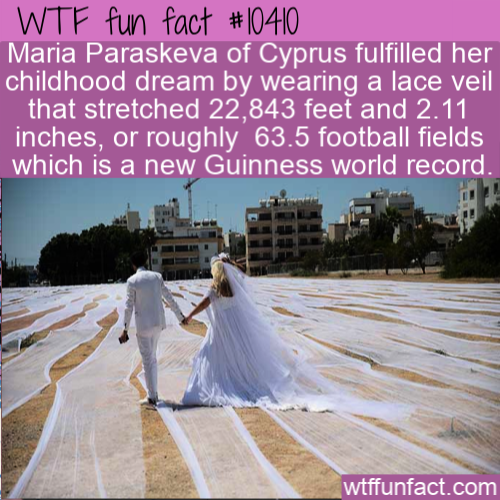 happiness - Wtf fun fact Maria Paraskeva of Cyprus fulfilled her childhood dream by wearing a lace veil that stretched 22,843 feet and 2.11 inches, or roughly_63.5 football fields which is a new Guinness world record. wtffunfact.com