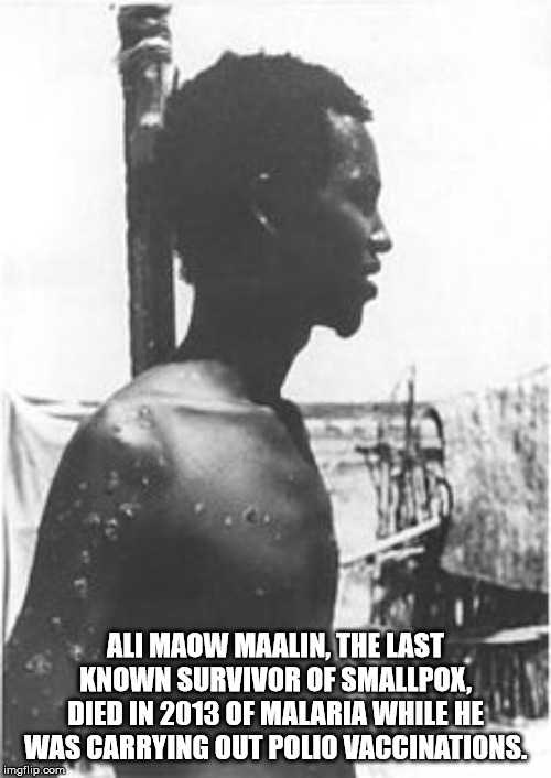 poster - Ali Maow Maalin, The Last Known Survivor Of Smallpox, Died In 2013 Of Malaria While He Was Carrying Out Polio Vaccinations. imgflip.com