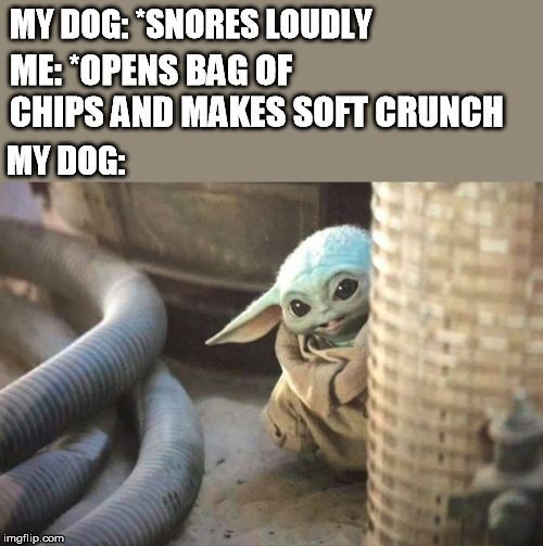 photo caption - My Dog Snores Loudly Me Opens Bag Of Chips And Makes Soft Crunch My Dog imgflip.com