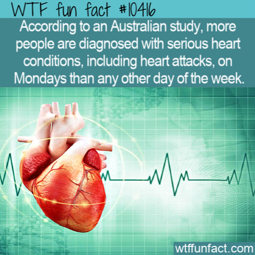 organ - Wtf fun fact According to an Australian study, more people are diagnosed with serious heart conditions, including heart attacks, on Mondays than any other day of the week. wtffunfact.com